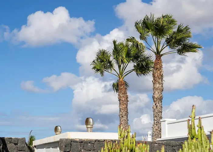 فيلة La Traviata *