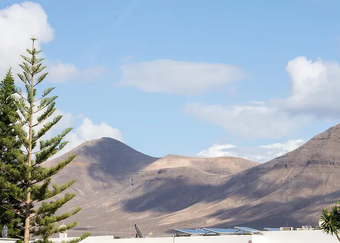 فيلة La Traviata *