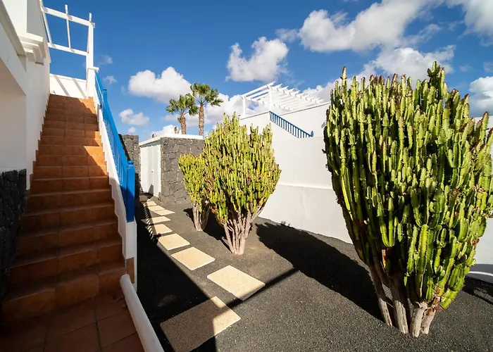 فيلة La Traviata *