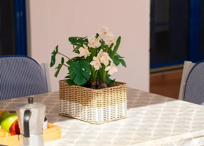 فيلة La Traviata *